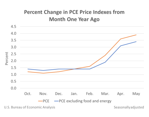 Percent Change in PCE Price Indexes June25